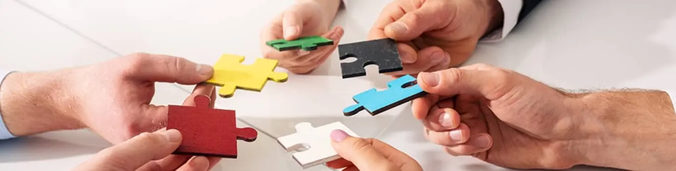 Consolidated Support for Multiple Companies in a Single AtClose Application Interface